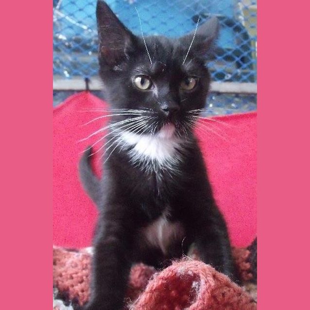 Photo of Jasper