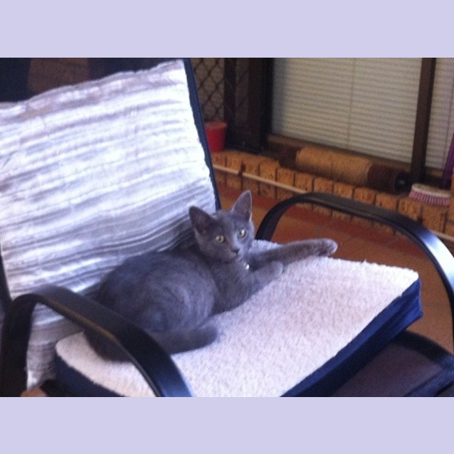 Photo of Pumpkin