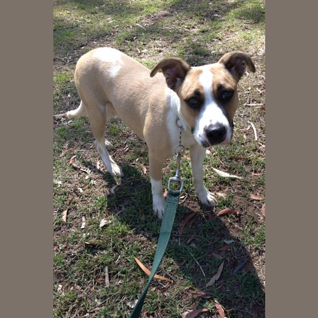 Photo of Karli