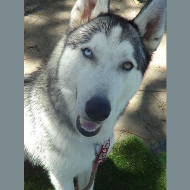 Photo of Mason