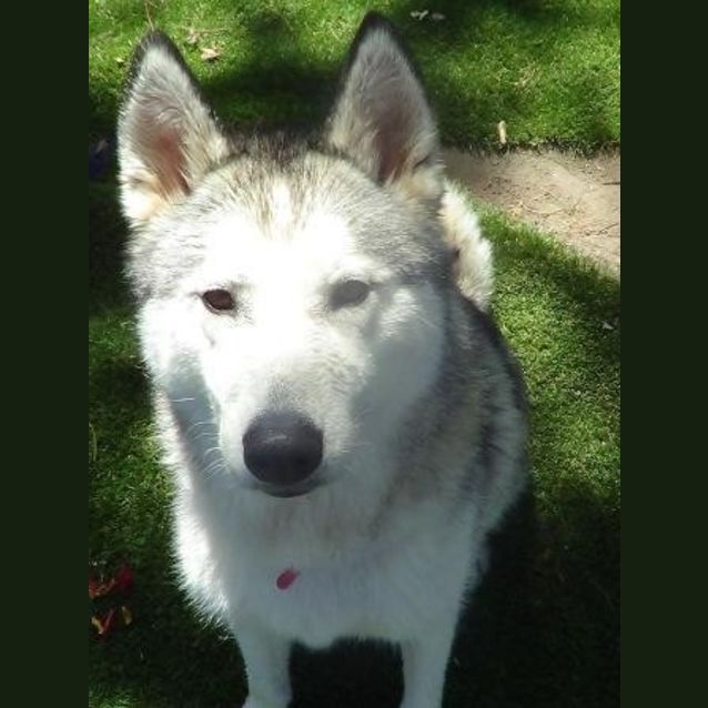 Photo of Cato