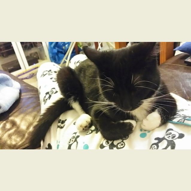 Photo of Penelope