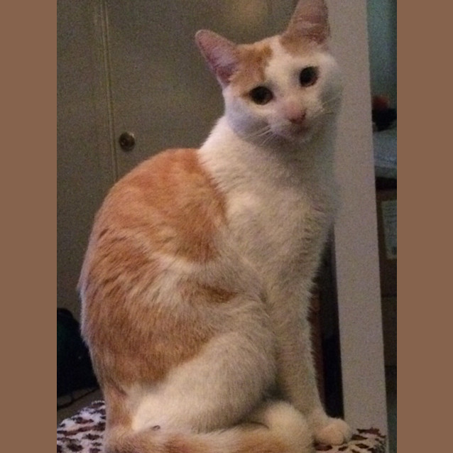 Photo of Tom