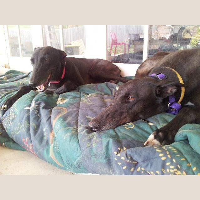 Photo of Annabel And Bella