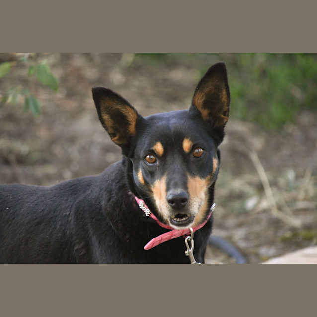 Photo of Lady The Senior Girl