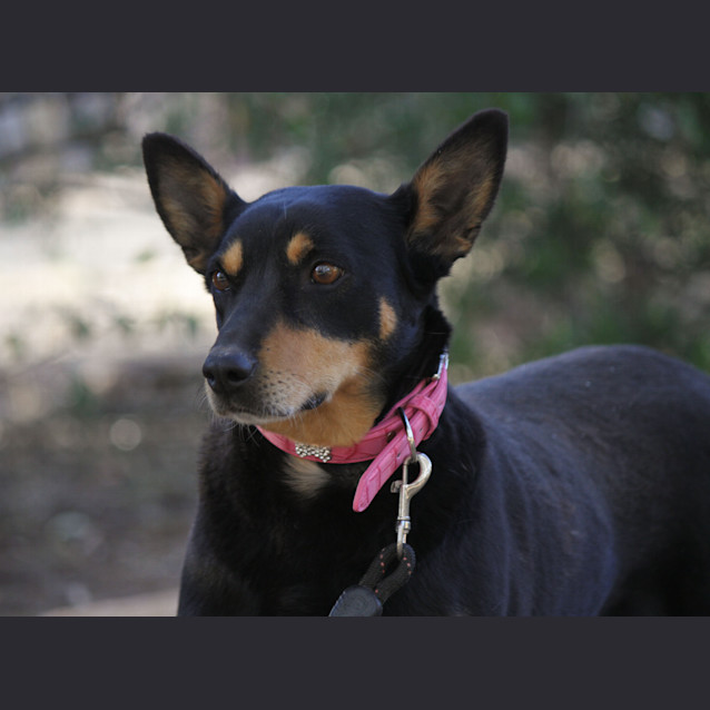Photo of Lady The Senior Girl