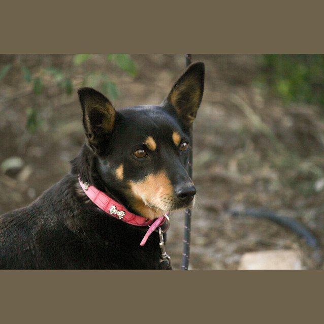 Photo of Lady The Senior Girl