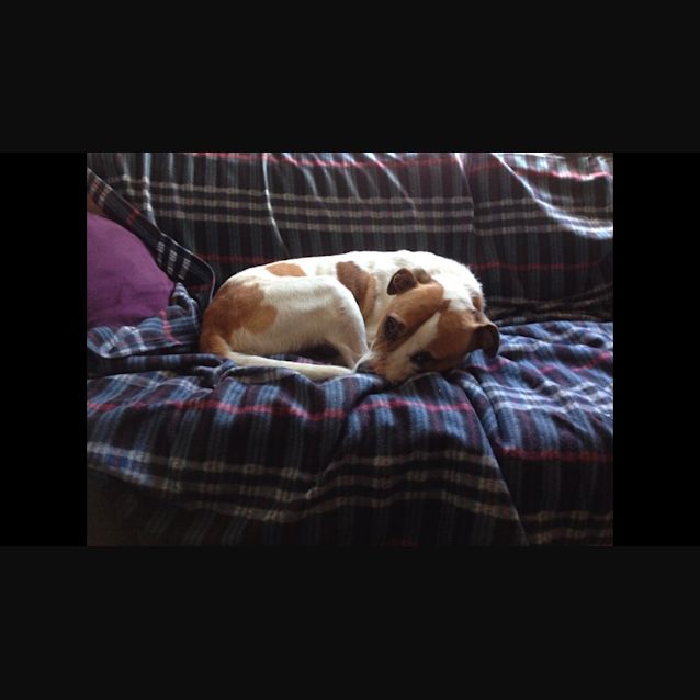 Photo of Oz   Full Of Personality!!