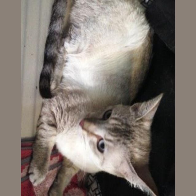 Photo of Sammi