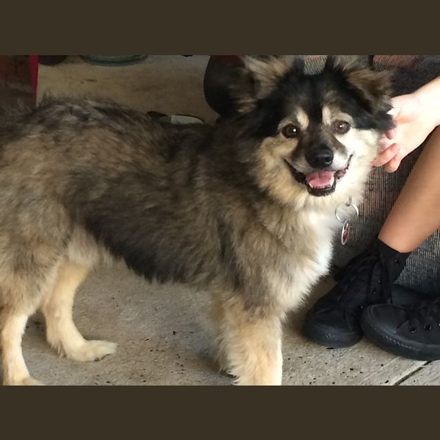 Photo of Buddy