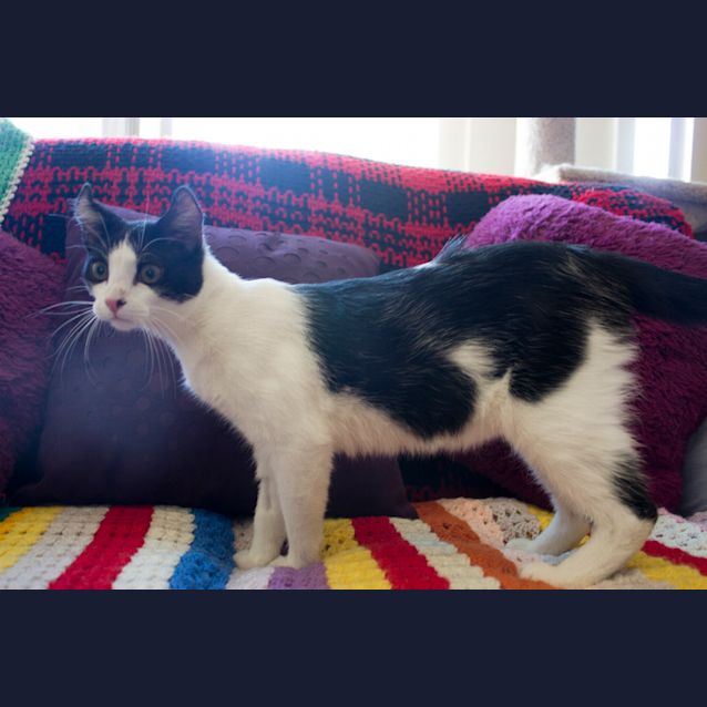 Photo of Moe