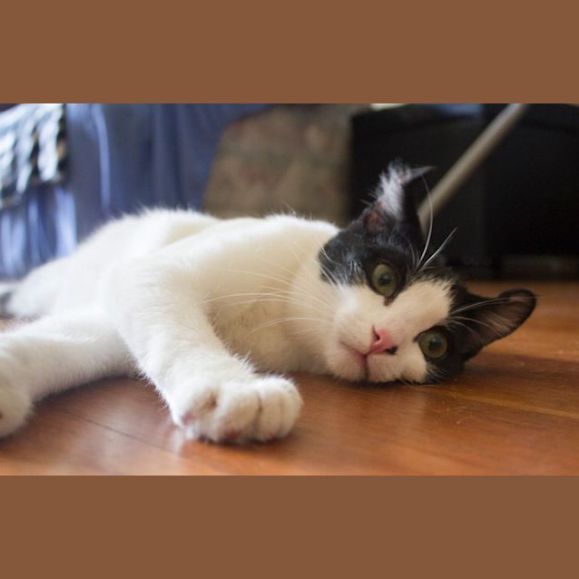Photo of Moe