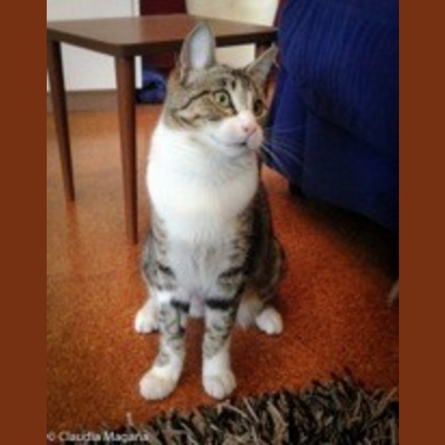 Photo of Teesha Ec0065