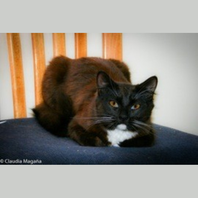 Photo of Joujou Ec0062