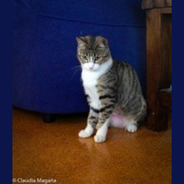 Photo of Teesha Ec0065