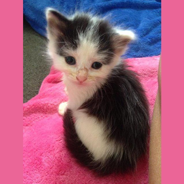 Photo of Holly 