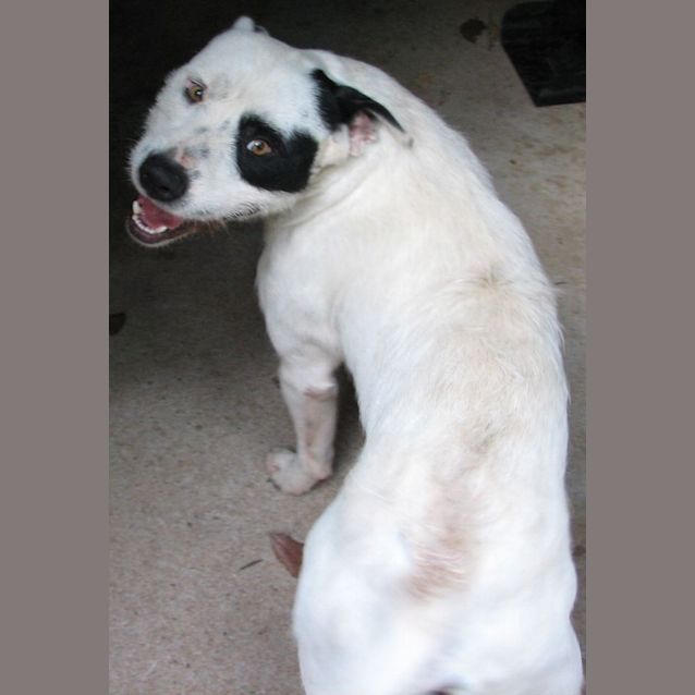 Photo of Duke