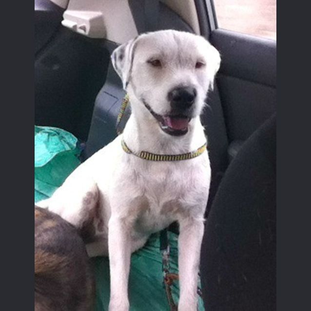 Photo of Duchess