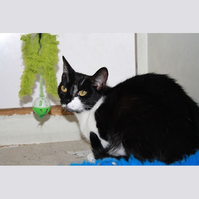 Photo of Kitty Katherine