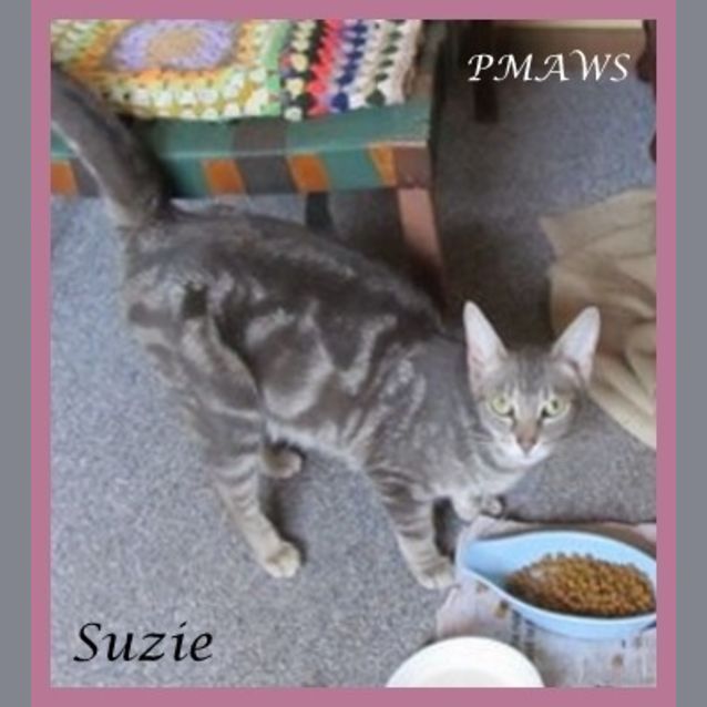 Photo of Suzie