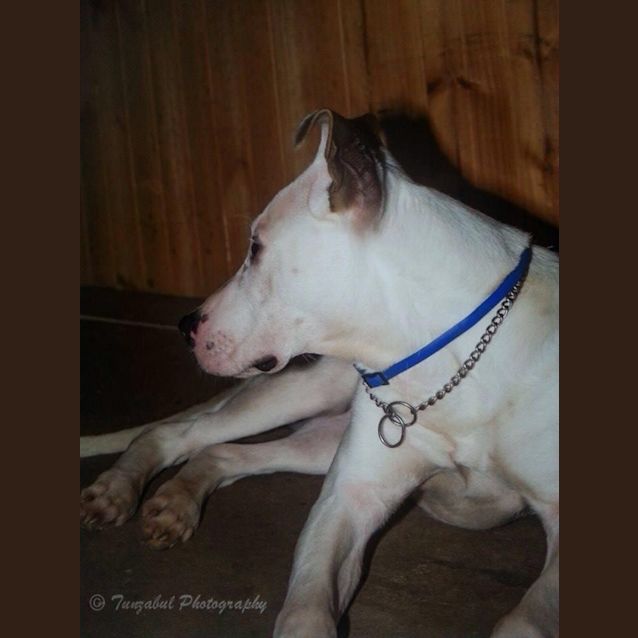Photo of Steve