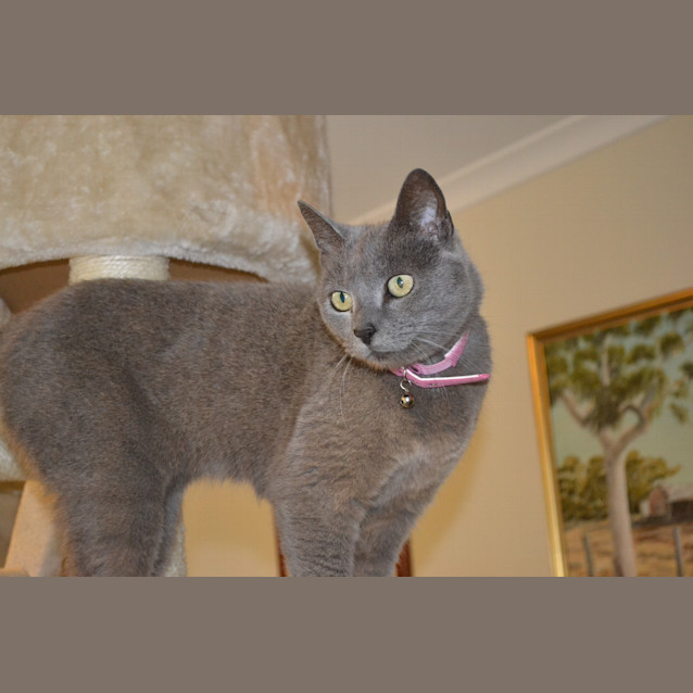 Photo of Peggy