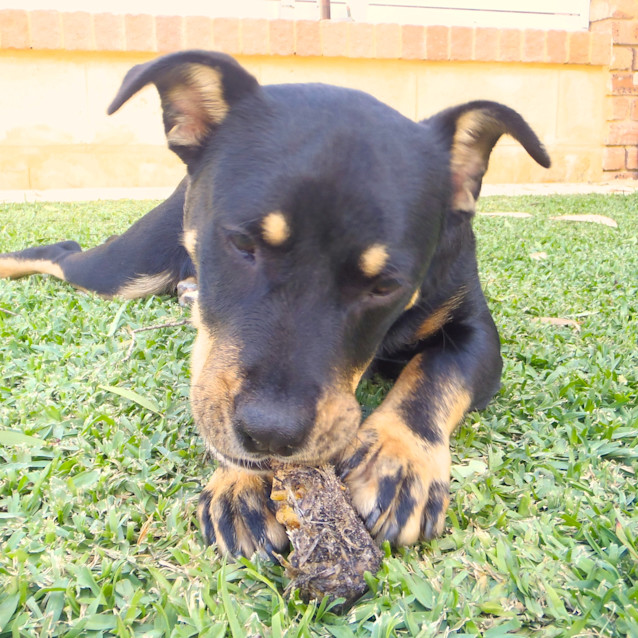Photo of Cindy