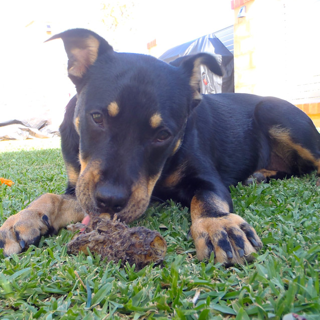 Photo of Cindy