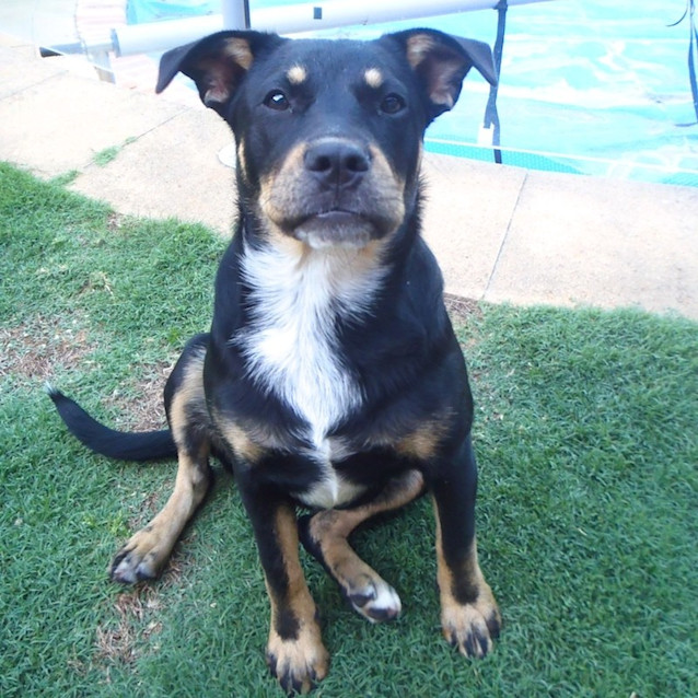 Photo of Cindy