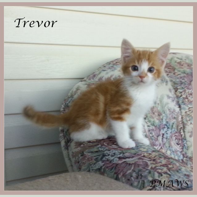 Photo of Trevor