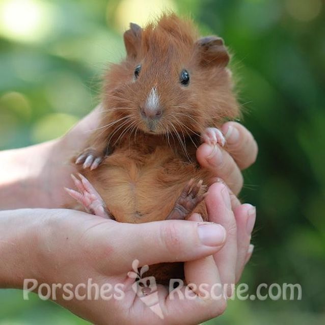 Photo of Little Jack