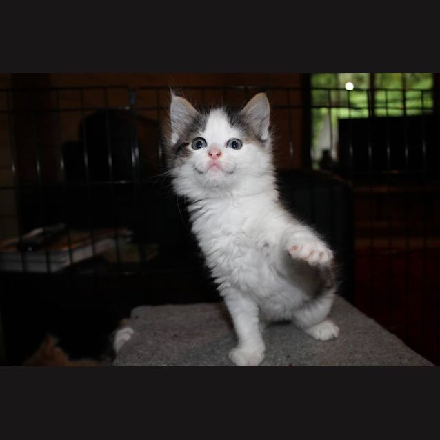 Photo of Lucy *No More Enquiries*