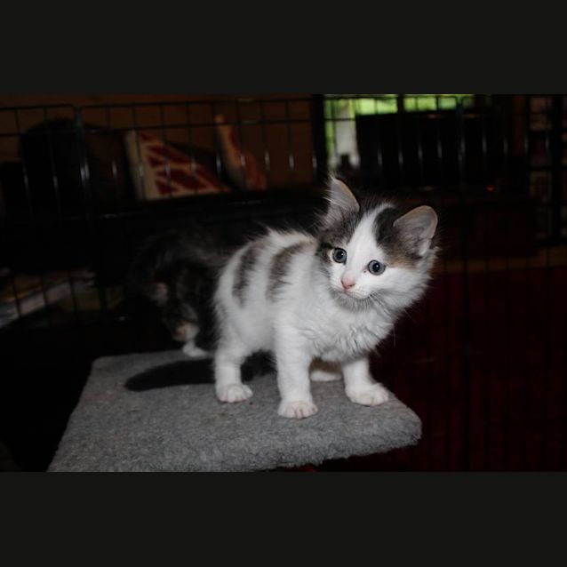 Photo of Lucy *No More Enquiries*