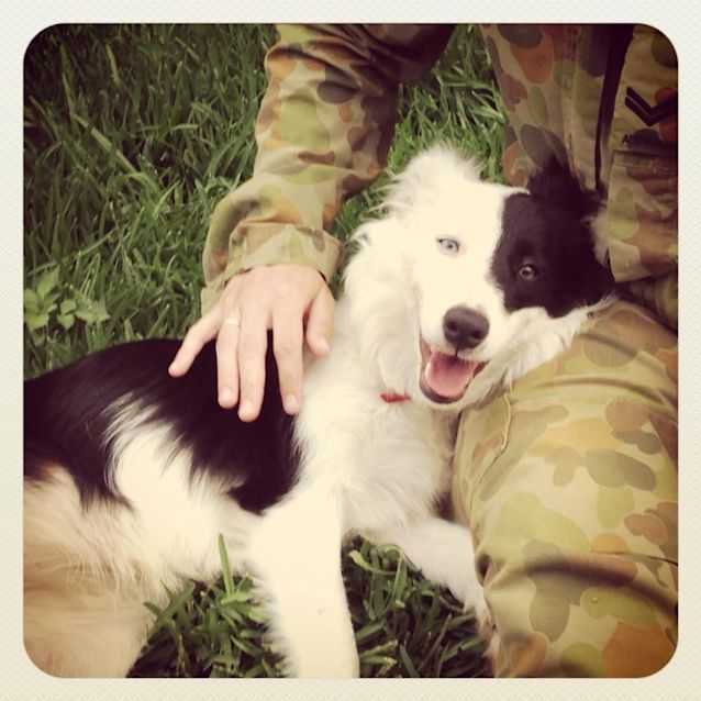 Photo of Skye 