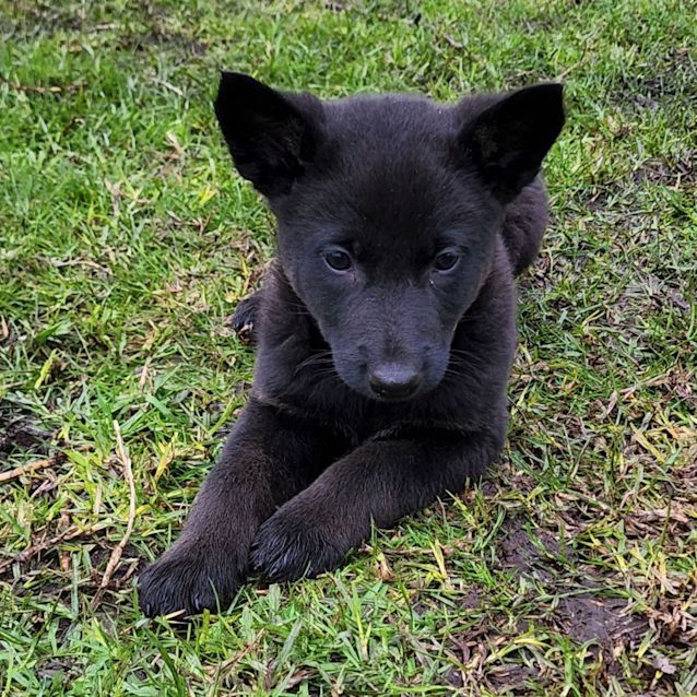 Photo of Zephyr 