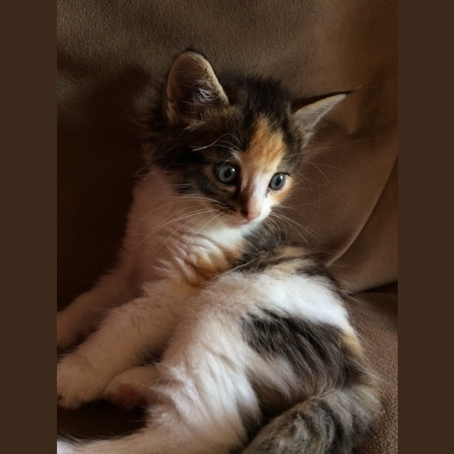 Photo of Mindy