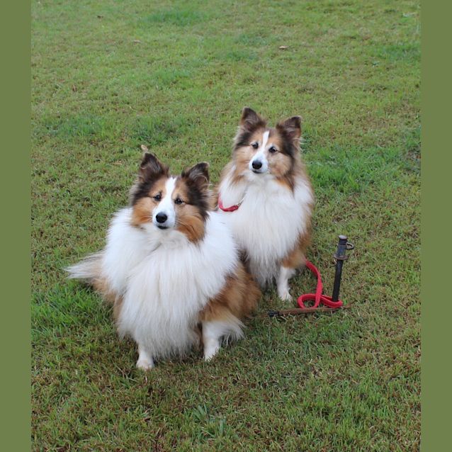 Photo of Bonnie & Heather