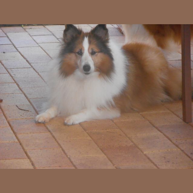 Photo of Bonnie & Heather