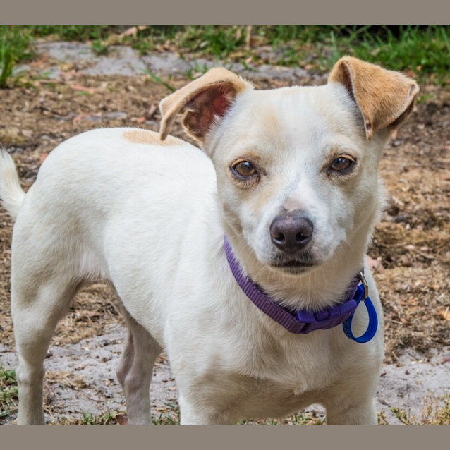 Photo of Princess Tuppence ~ On Trial 6/1/15