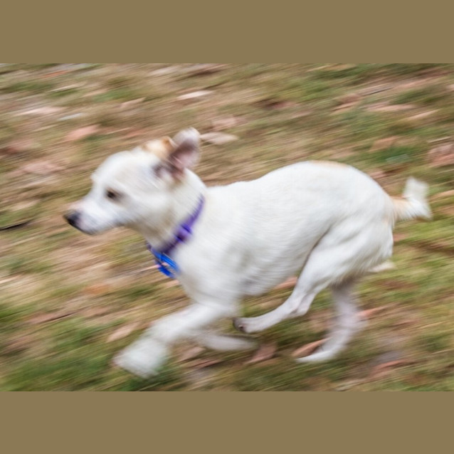 Photo of Princess Tuppence ~ On Trial 6/1/15