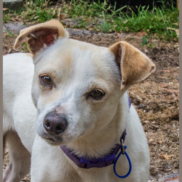 Photo of Princess Tuppence ~ On Trial 6/1/15