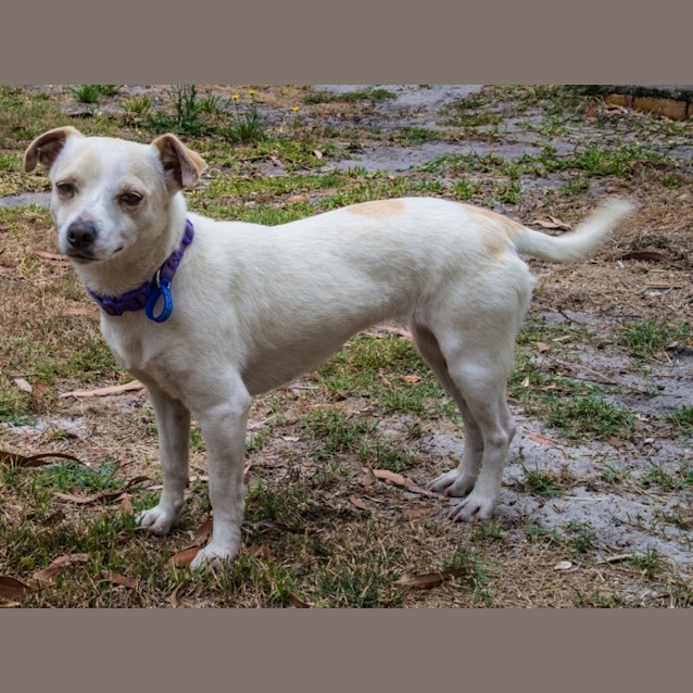 Photo of Princess Tuppence ~ On Trial 6/1/15