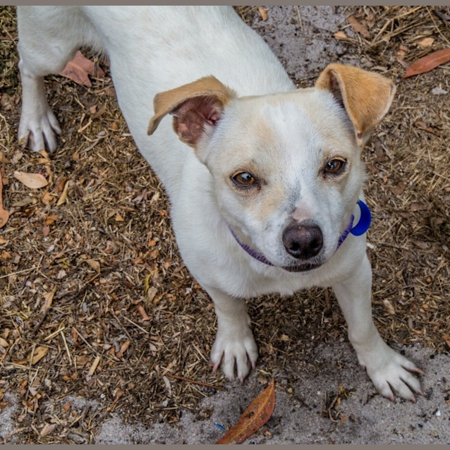 Photo of Princess Tuppence ~ On Trial 6/1/15