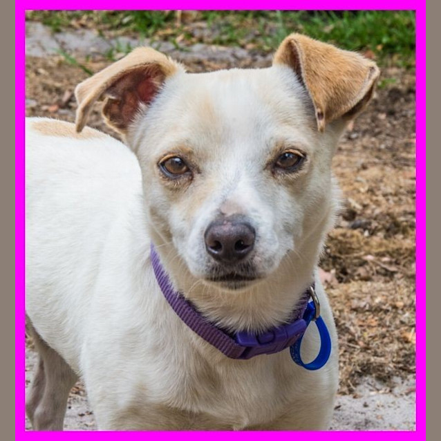 Photo of Princess Tuppence ~ On Trial 6/1/15