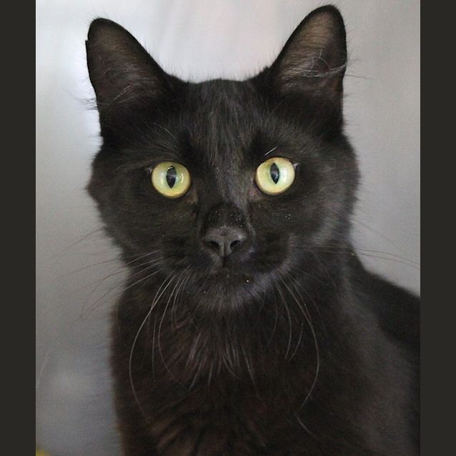 Photo of Ralph