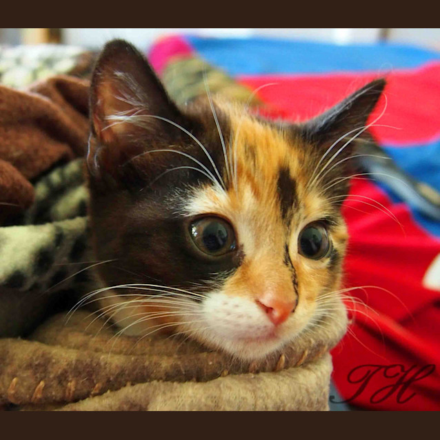 Photo of Sally