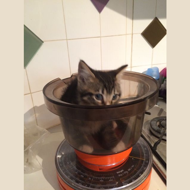 Photo of Eyes For You