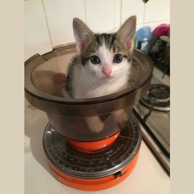 Photo of Eyes For You