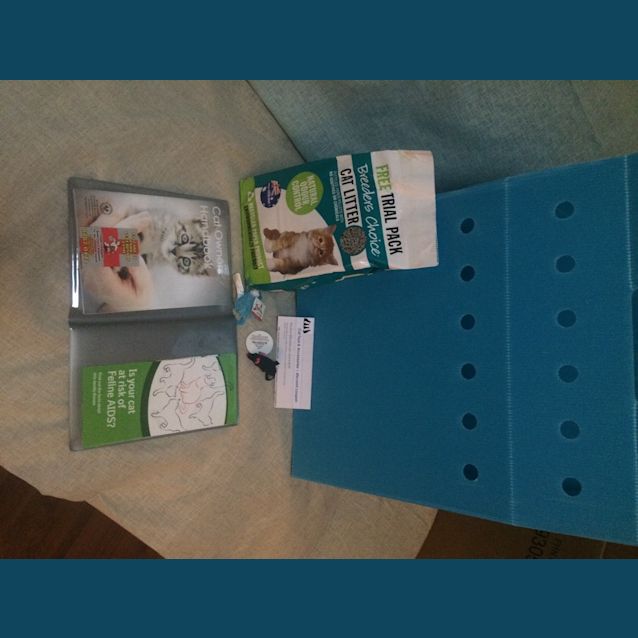 Photo of Eyes For You