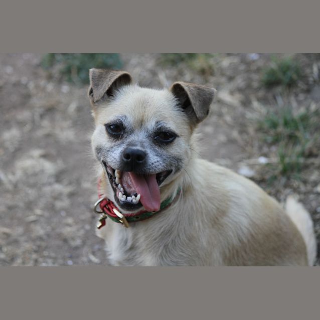 Photo of Lilly (D017) 